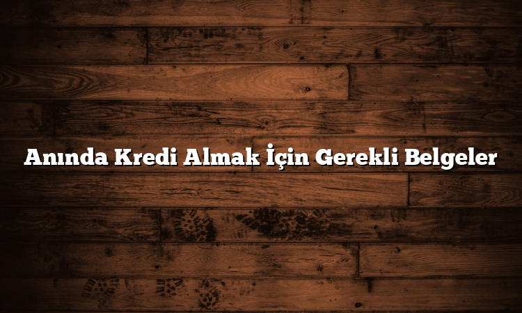 Anında Kredi Almak İçin Gerekli Belgeler