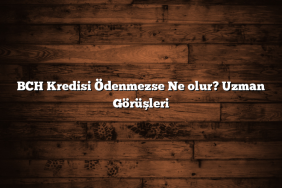BCH Kredisi Ödenmezse Ne olur? Uzman Görüşleri