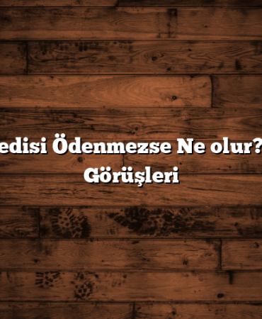 BCH Kredisi Ödenmezse Ne olur? Uzman Görüşleri