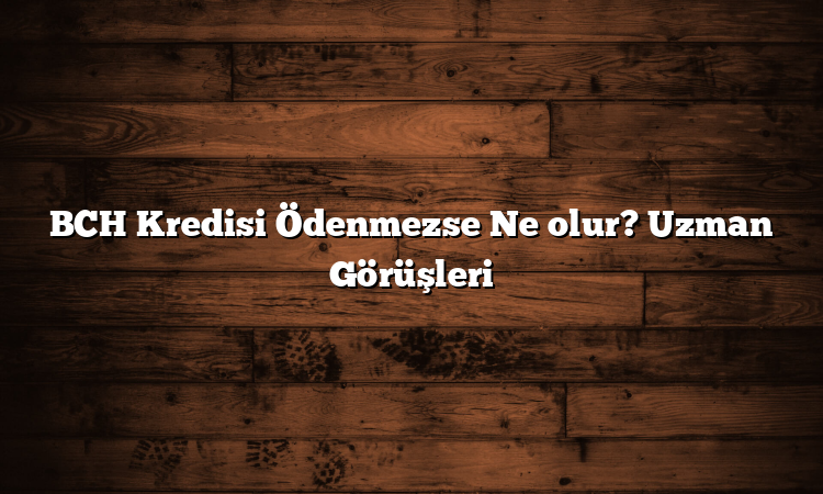 BCH Kredisi Ödenmezse Ne olur? Uzman Görüşleri