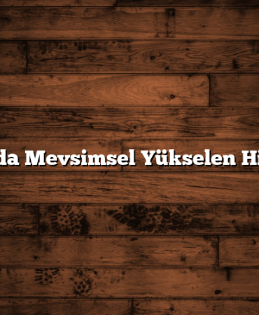 Borsada Mevsimsel Yükselen Hisseler