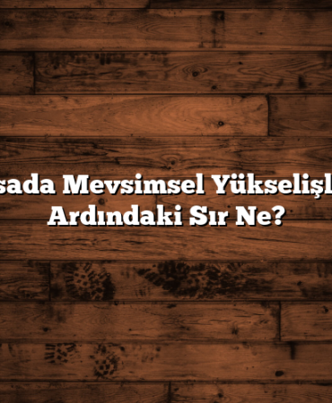 Borsada Mevsimsel Yükselişlerin Ardındaki Sır Ne?
