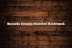 Borsada Uyuyan Hisseleri Keşfetmek