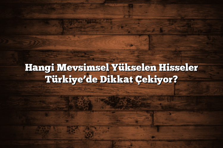 Hangi Mevsimsel Yükselen Hisseler Türkiye’de Dikkat Çekiyor?