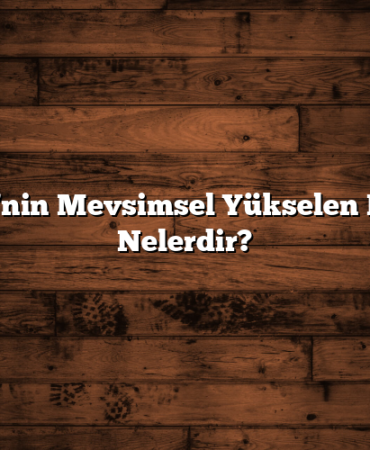 Türkiye’nin Mevsimsel Yükselen Hisseleri Nelerdir?