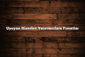 Uyuyan Hisseler: Yatırımcılara Fırsatlar