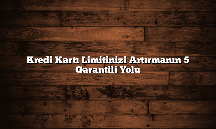 Kredi Kartı Limitinizi Artırmanın 5 Garantili Yolu