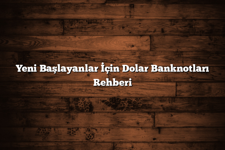Yeni Başlayanlar İçin Dolar Banknotları Rehberi Yeni Başlayanlar İçin Dolar Banknotları Rehberi
