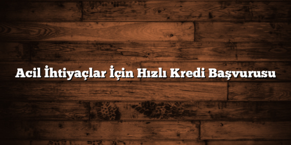 Acil İhtiyaçlar İçin Hızlı Kredi Başvurusu
