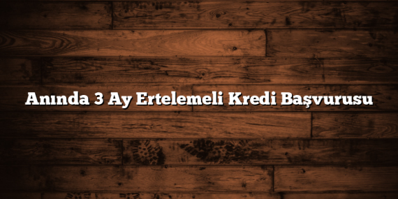 Anında 3 Ay Ertelemeli Kredi Başvurusu