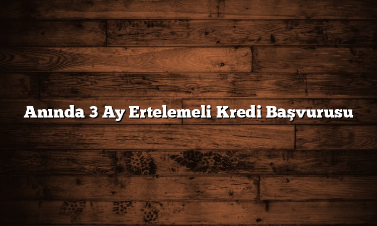 Anında 3 Ay Ertelemeli Kredi Başvurusu