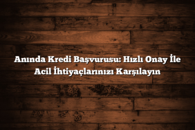 Anında Kredi Başvurusu: Hızlı Onay İle Acil İhtiyaçlarınızı Karşılayın