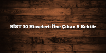 BİST 30 Hisseleri: Öne Çıkan 5 Sektör BİST 30 Hisseleri: Öne Çıkan 5 Sektör