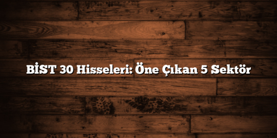 BİST 30 Hisseleri: Öne Çıkan 5 Sektör