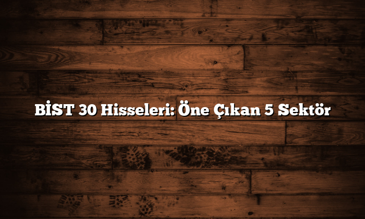 BİST 30 Hisseleri: Öne Çıkan 5 Sektör