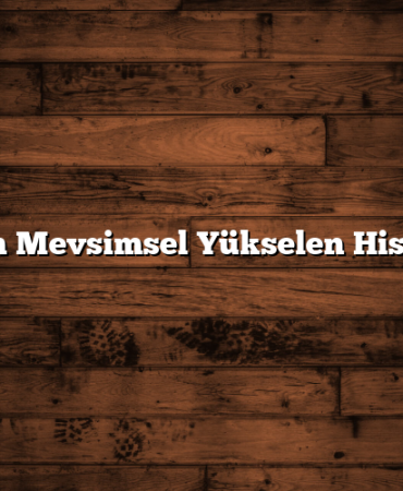 Kışın Mevsimsel Yükselen Hisseler