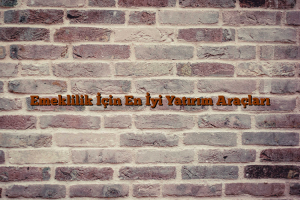 Bunu da Beğenebilirsin