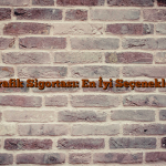 Trafik Sigortası: En İyi Seçenekler Trafik Sigortası: En İyi Seçenekler