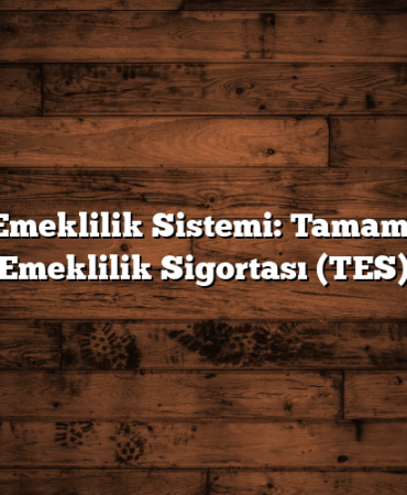 Yeni Emeklilik Sistemi: Tamamlayıcı Emeklilik Sigortası (TES)