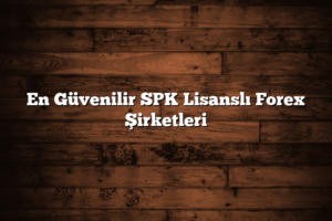 Bunu da Beğenebilirsin