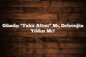 Bunu da Beğenebilirsin