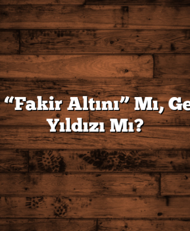 Gümüş: “Fakir Altını” Mı, Geleceğin Yıldızı Mı?