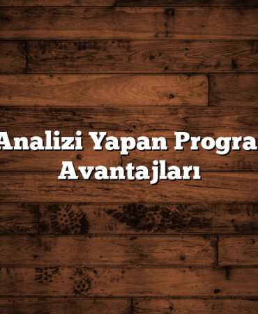 Hisse Analizi Yapan Programların Avantajları