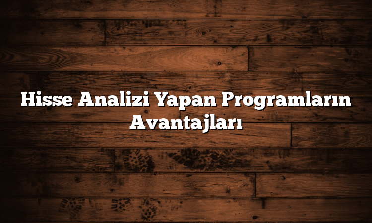 Hisse Analizi Yapan Programların Avantajları