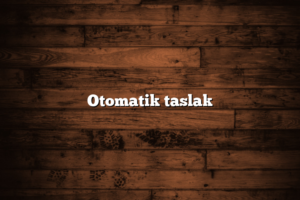 Otomatik taslak4 300x200 - Otomatik taslak